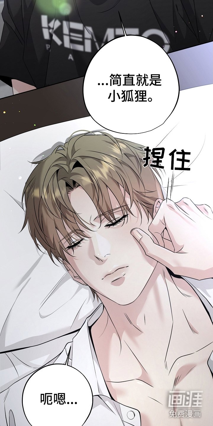 第23章：小狐狸