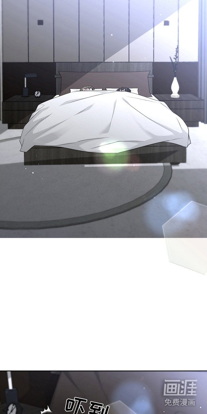 第23章：小狐狸