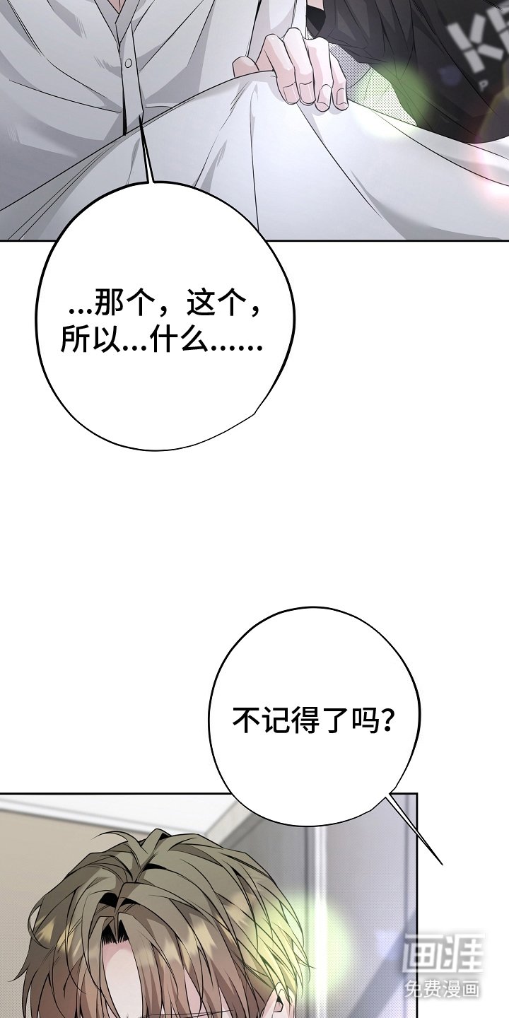 第23章：小狐狸