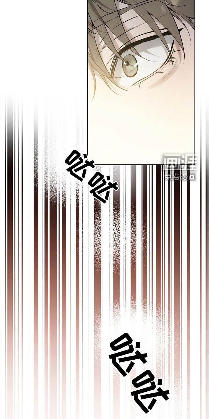 第41章：多余的担心