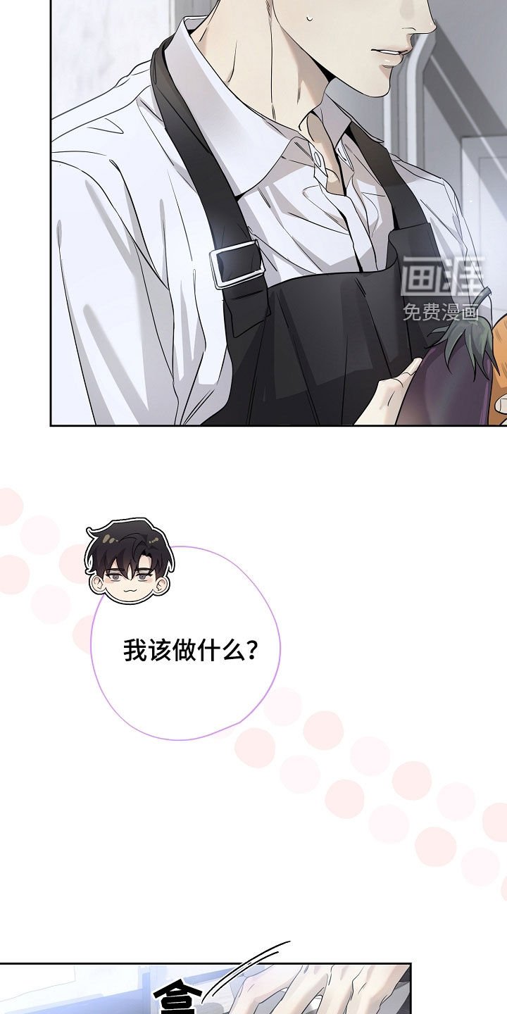 第52章：下厨