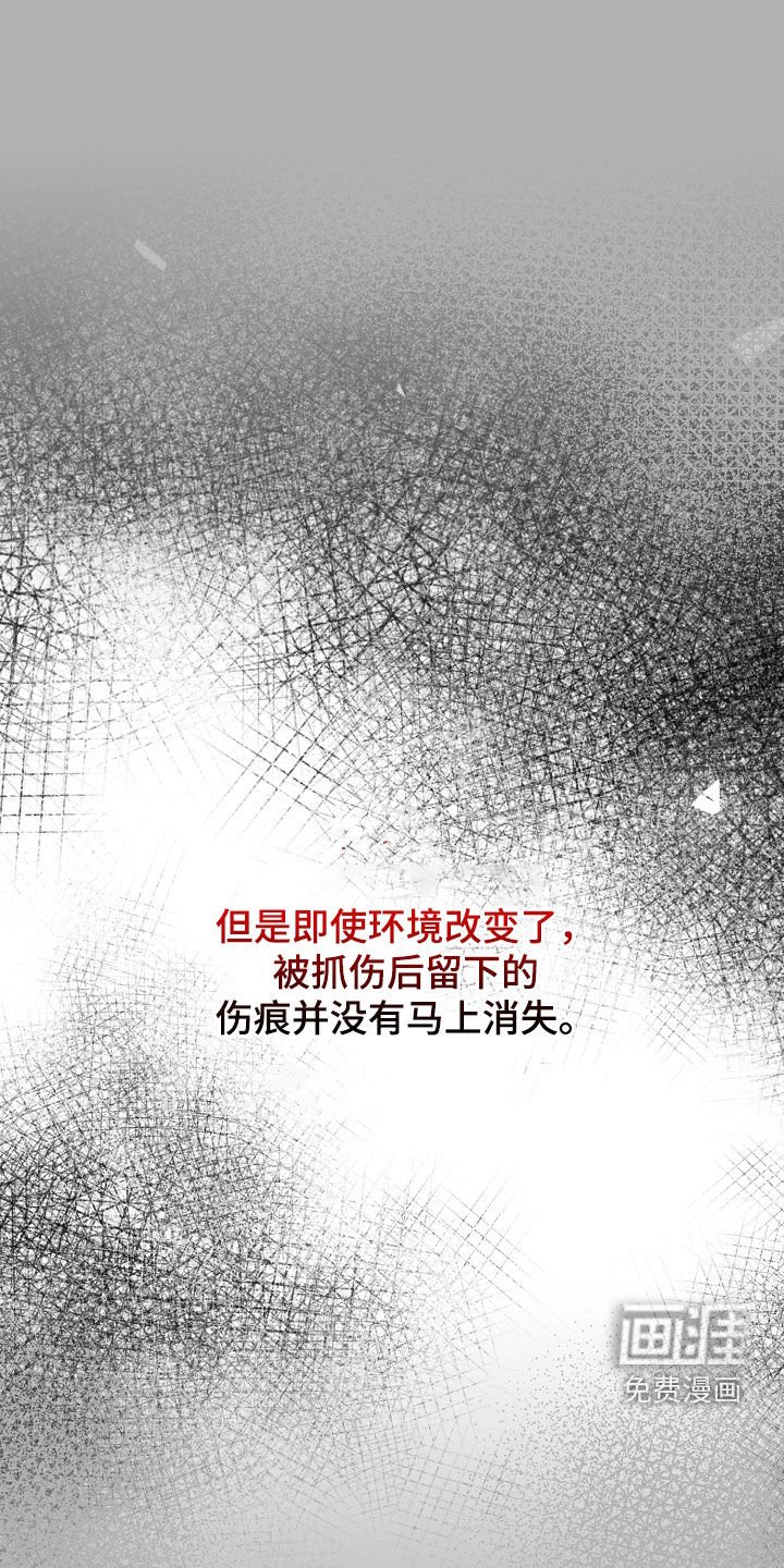 第56章：新的生活