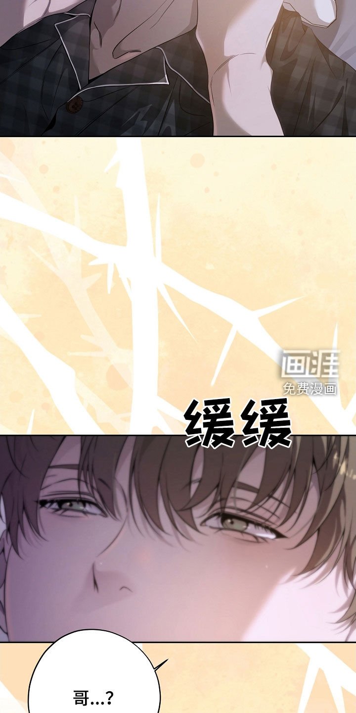 第67章：一场梦
