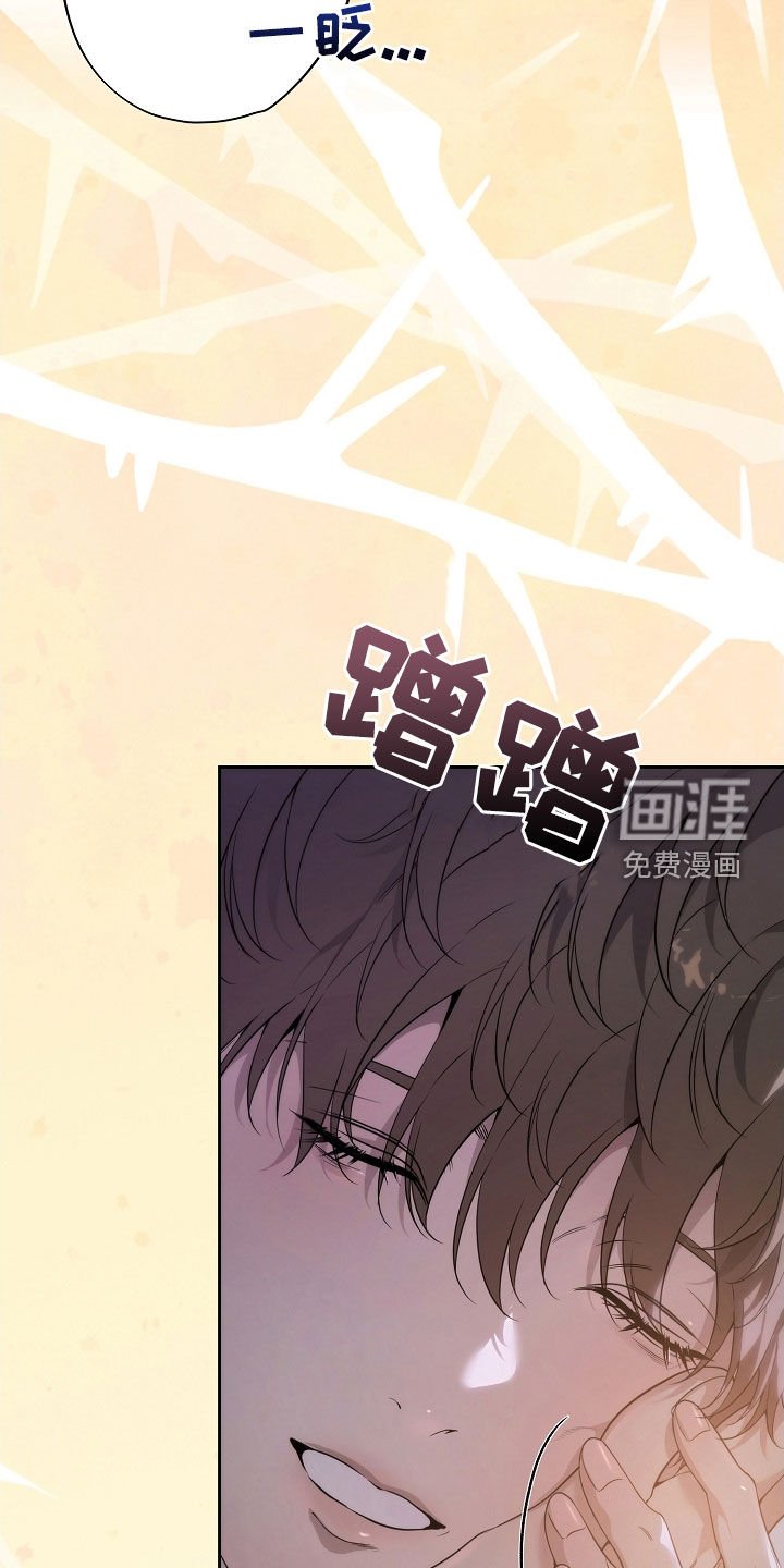 第67章：一场梦
