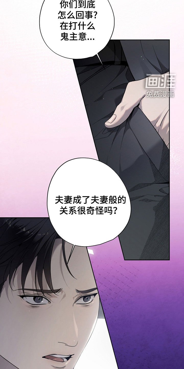 第73章：别装傻了