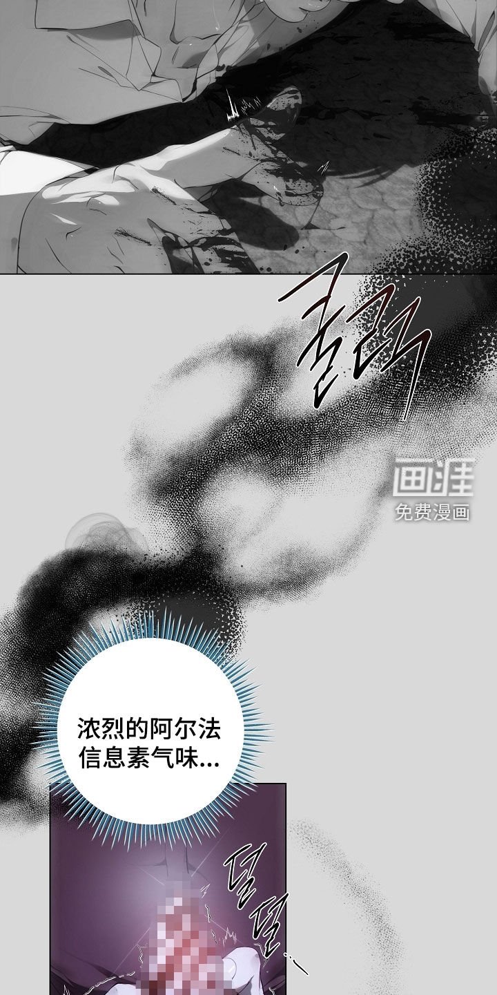 第86章：没再回来