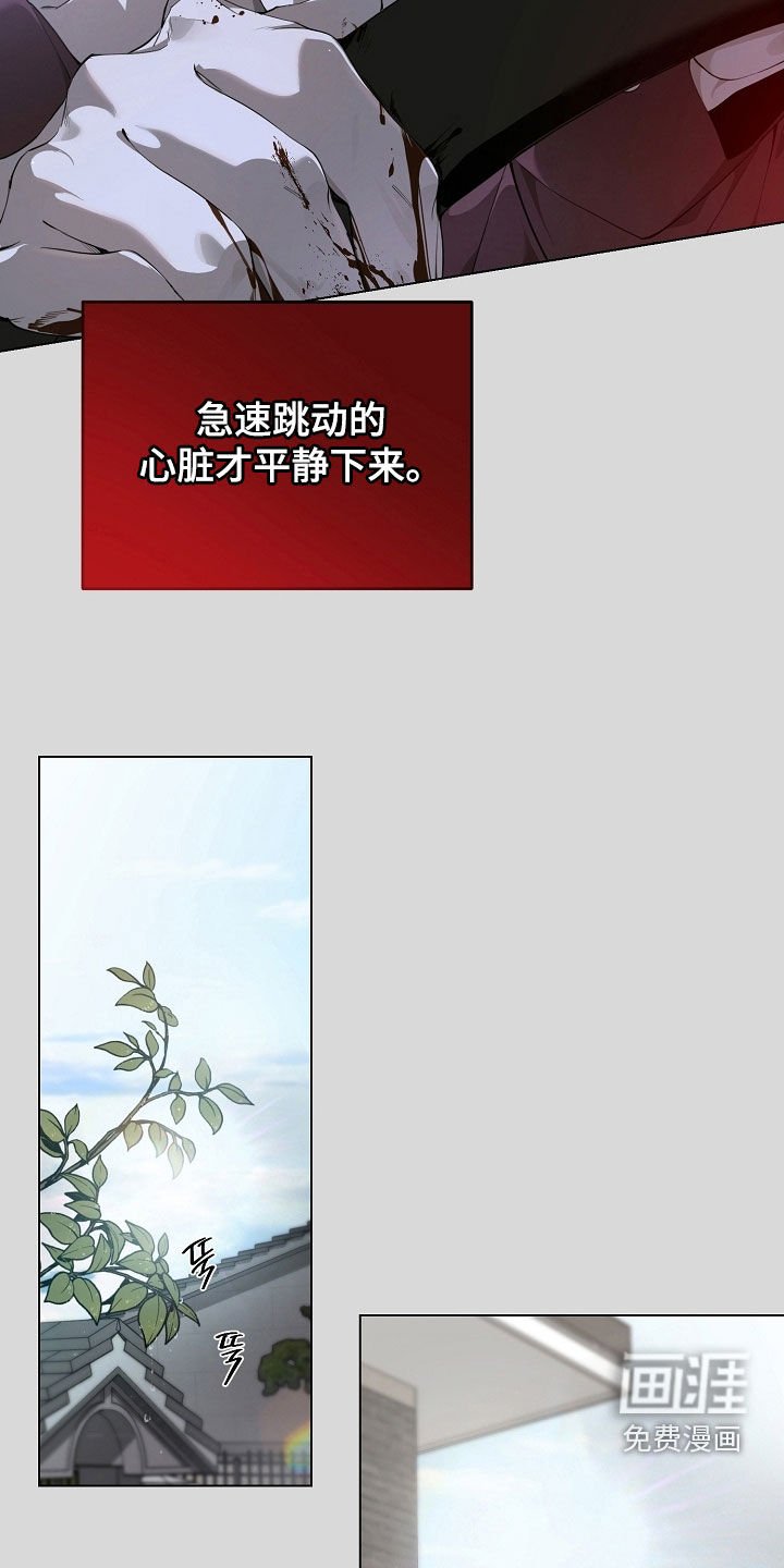 第86章：没再回来