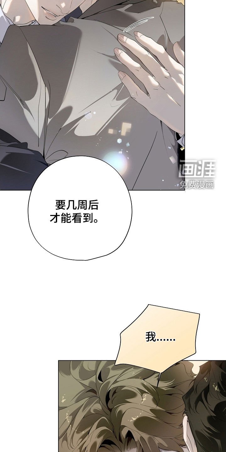 第96章：怀孕