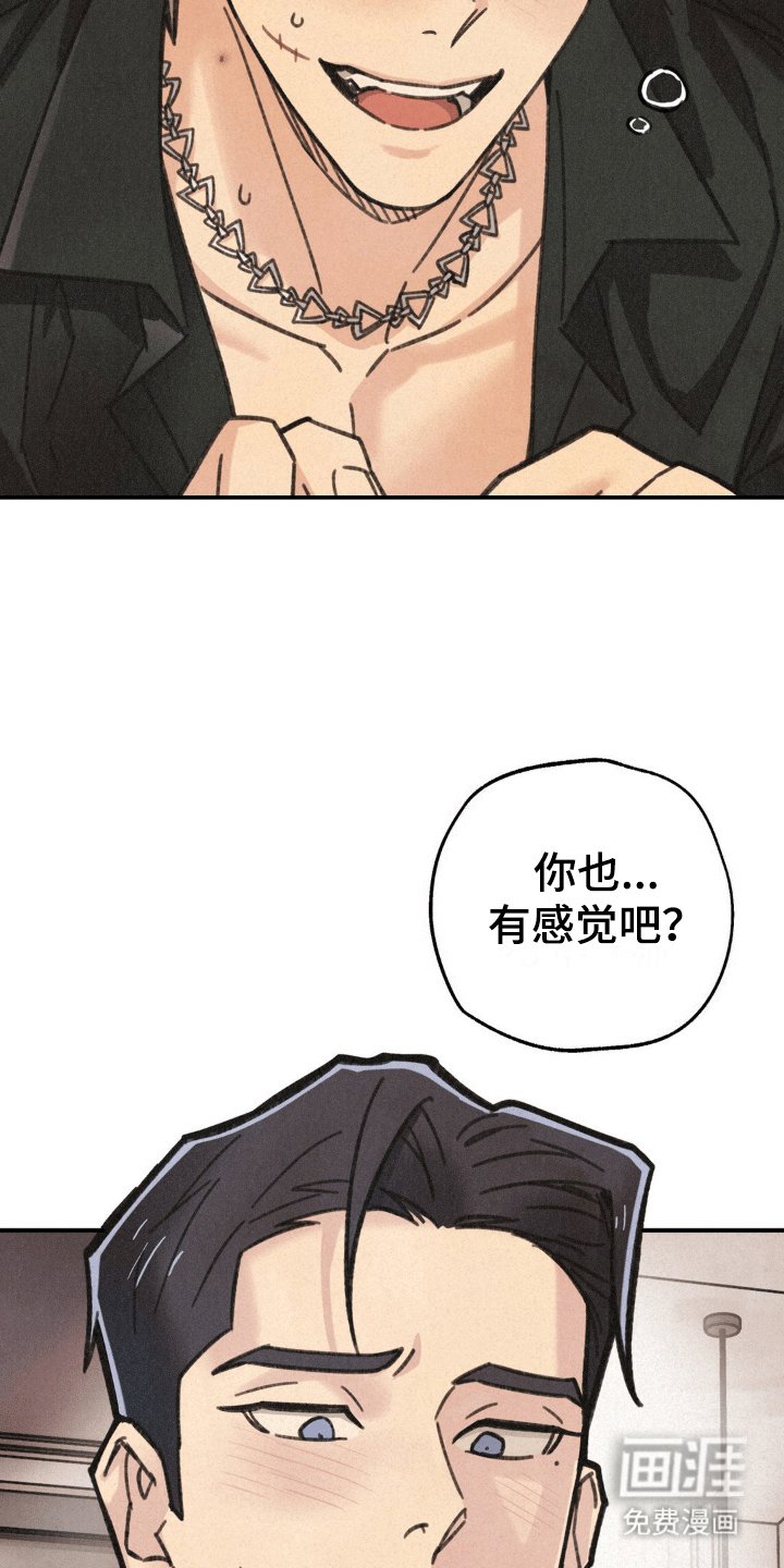 第11章：副作用