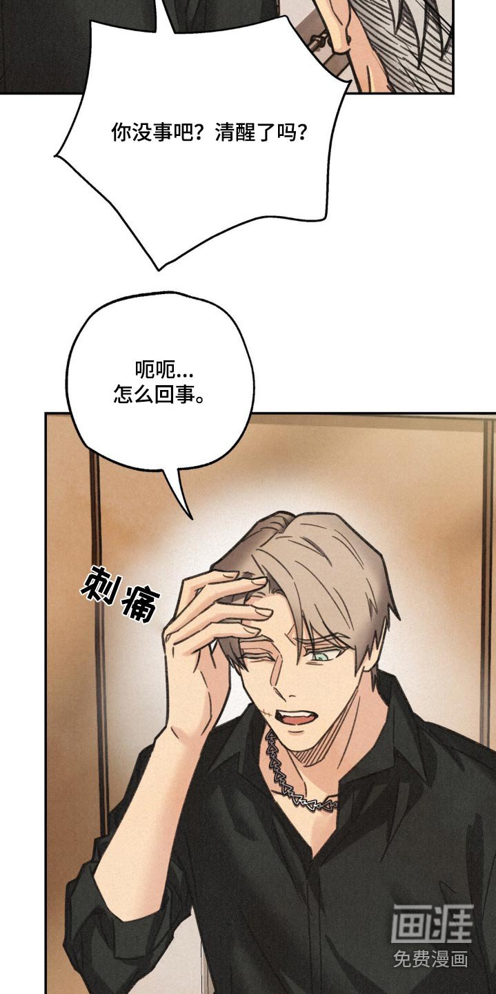 第18章：单独聊聊
