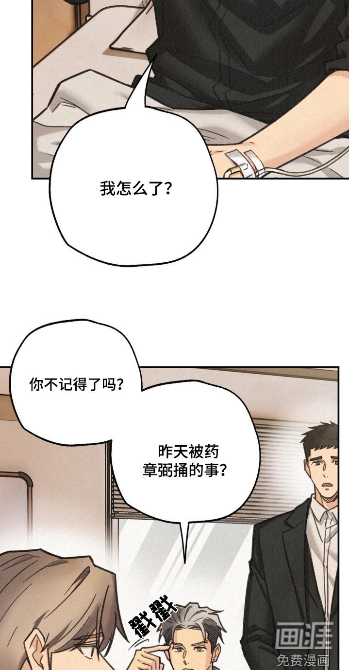 第18章：单独聊聊