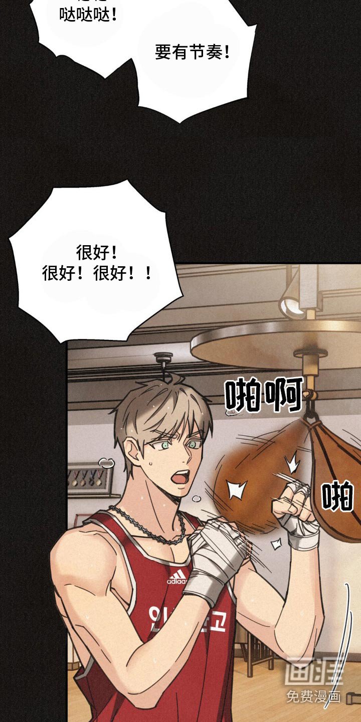 第22章：训练