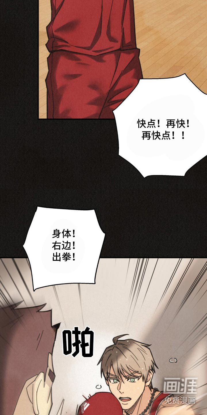 第22章：训练