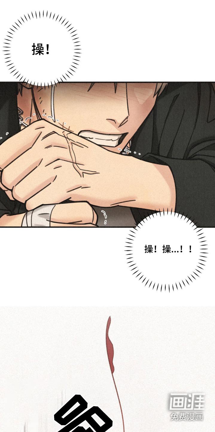 第30章：划伤