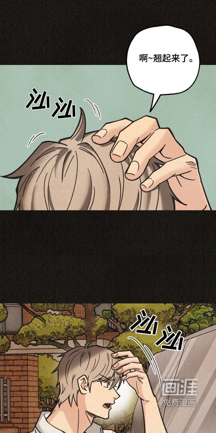 第39章：寻找