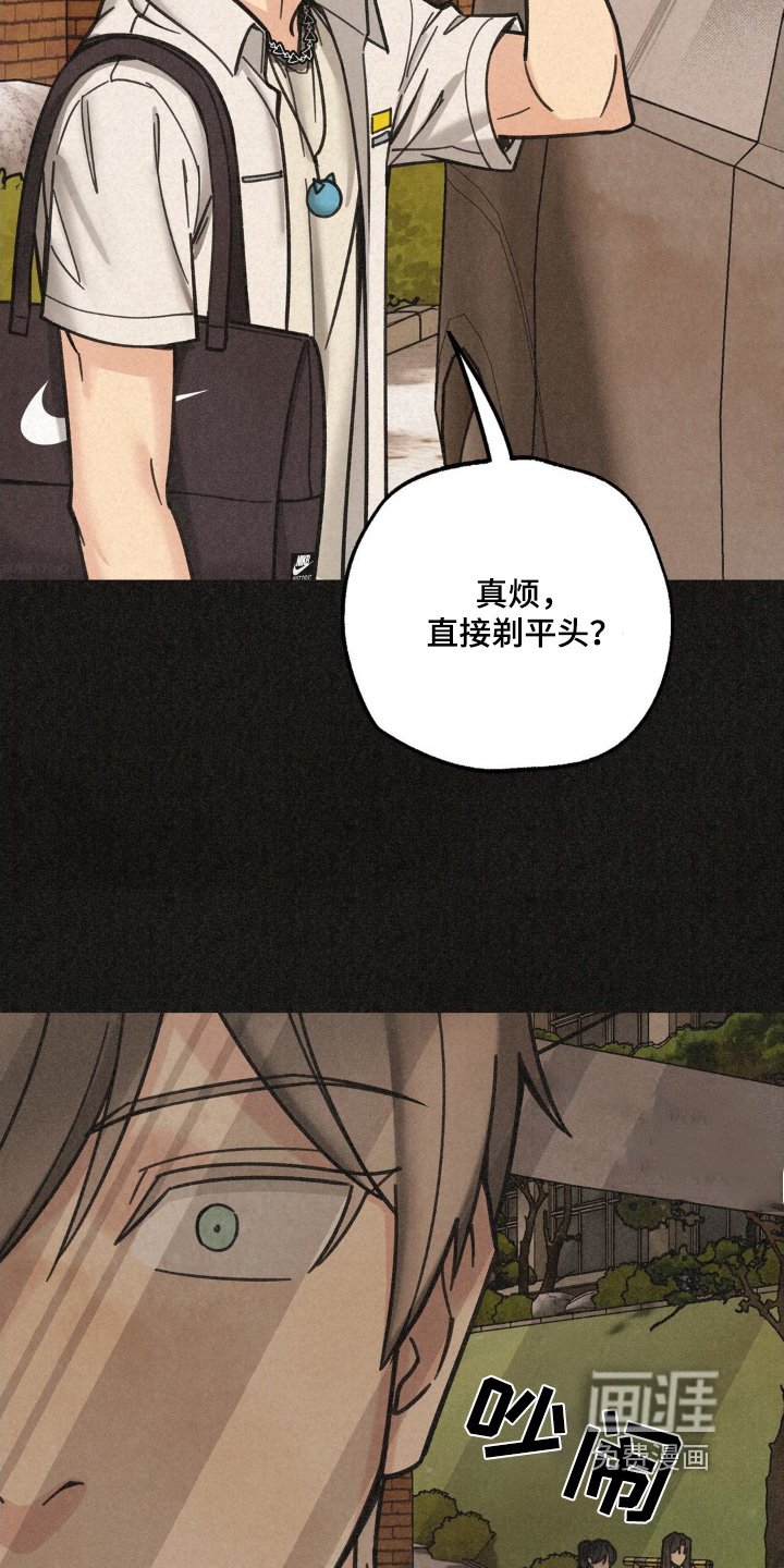 第39章：寻找