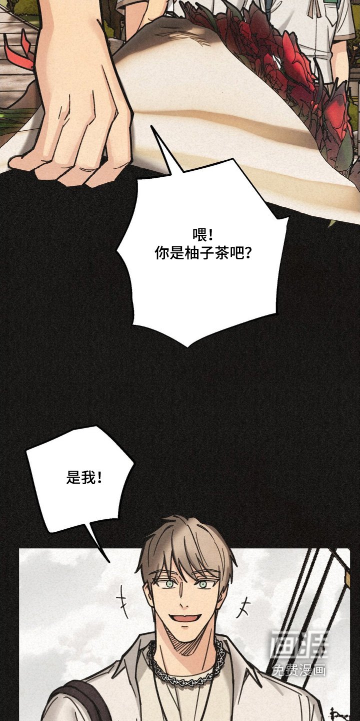 第39章：寻找