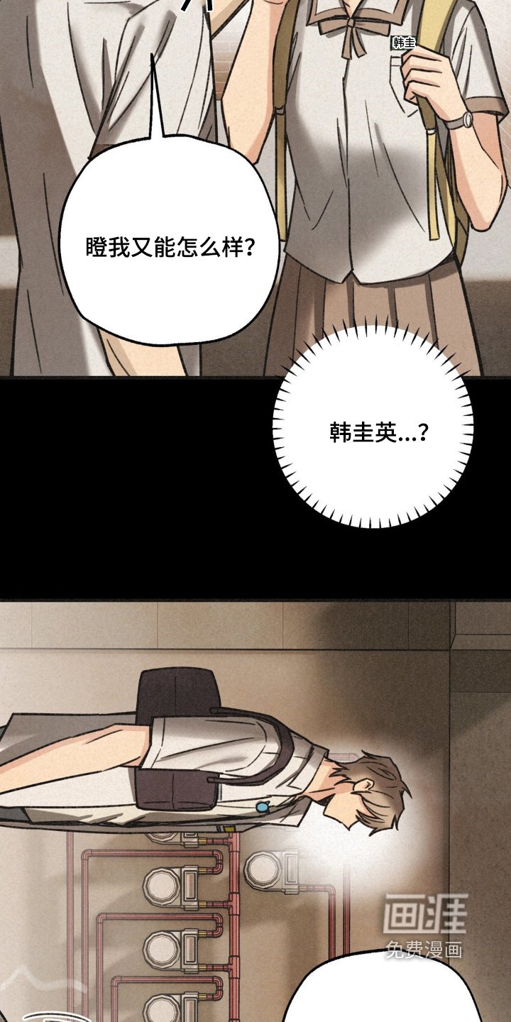 第42章：人呢