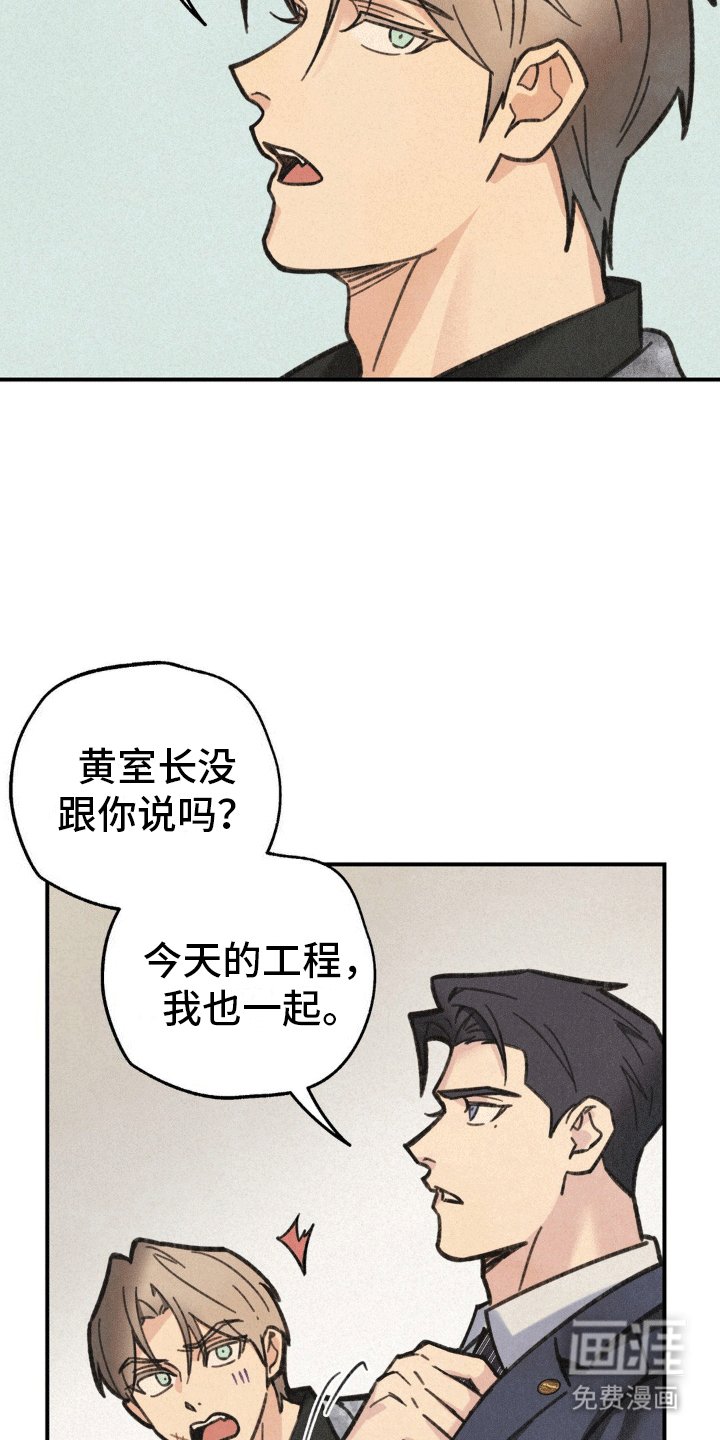 第5章：组队