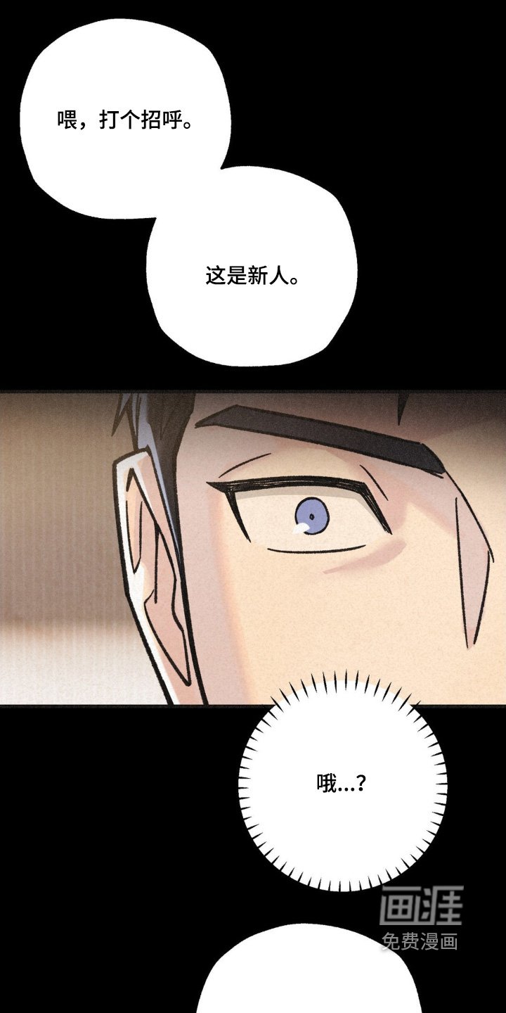 第51章：介绍