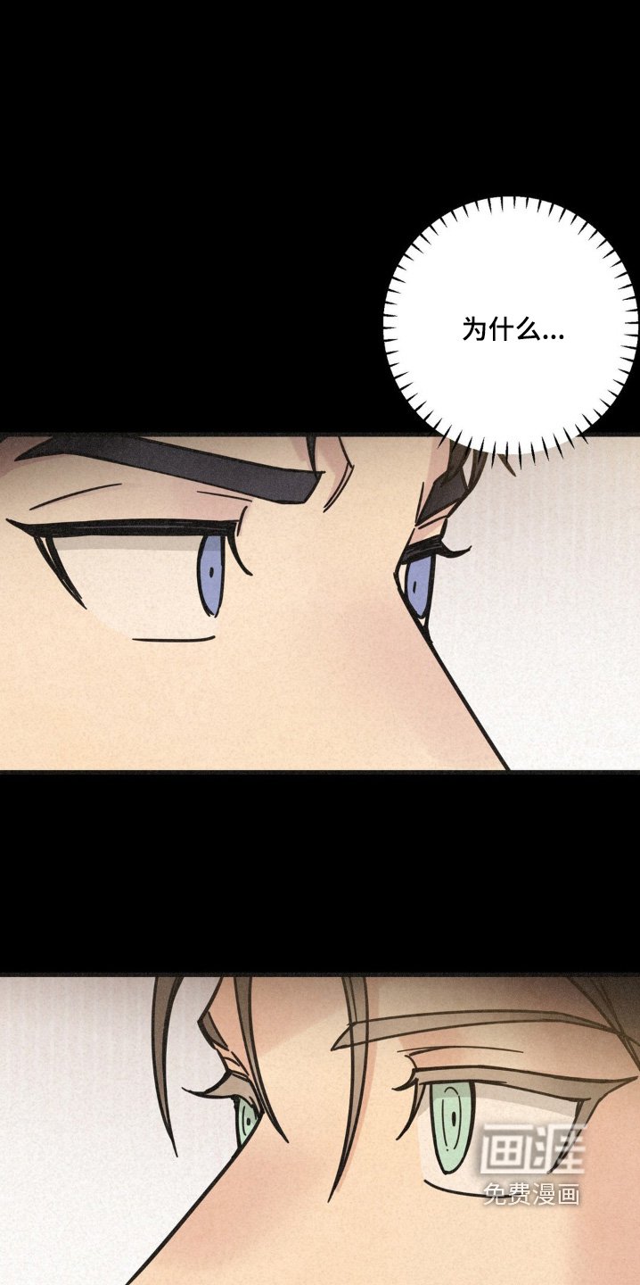 第51章：介绍