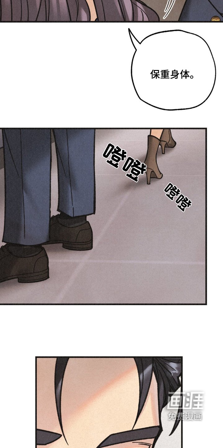 第52章：计划