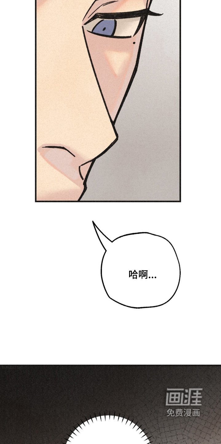 第52章：计划
