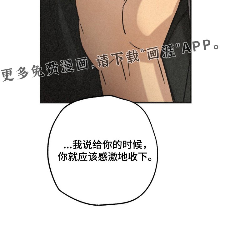 第53章：听我安排