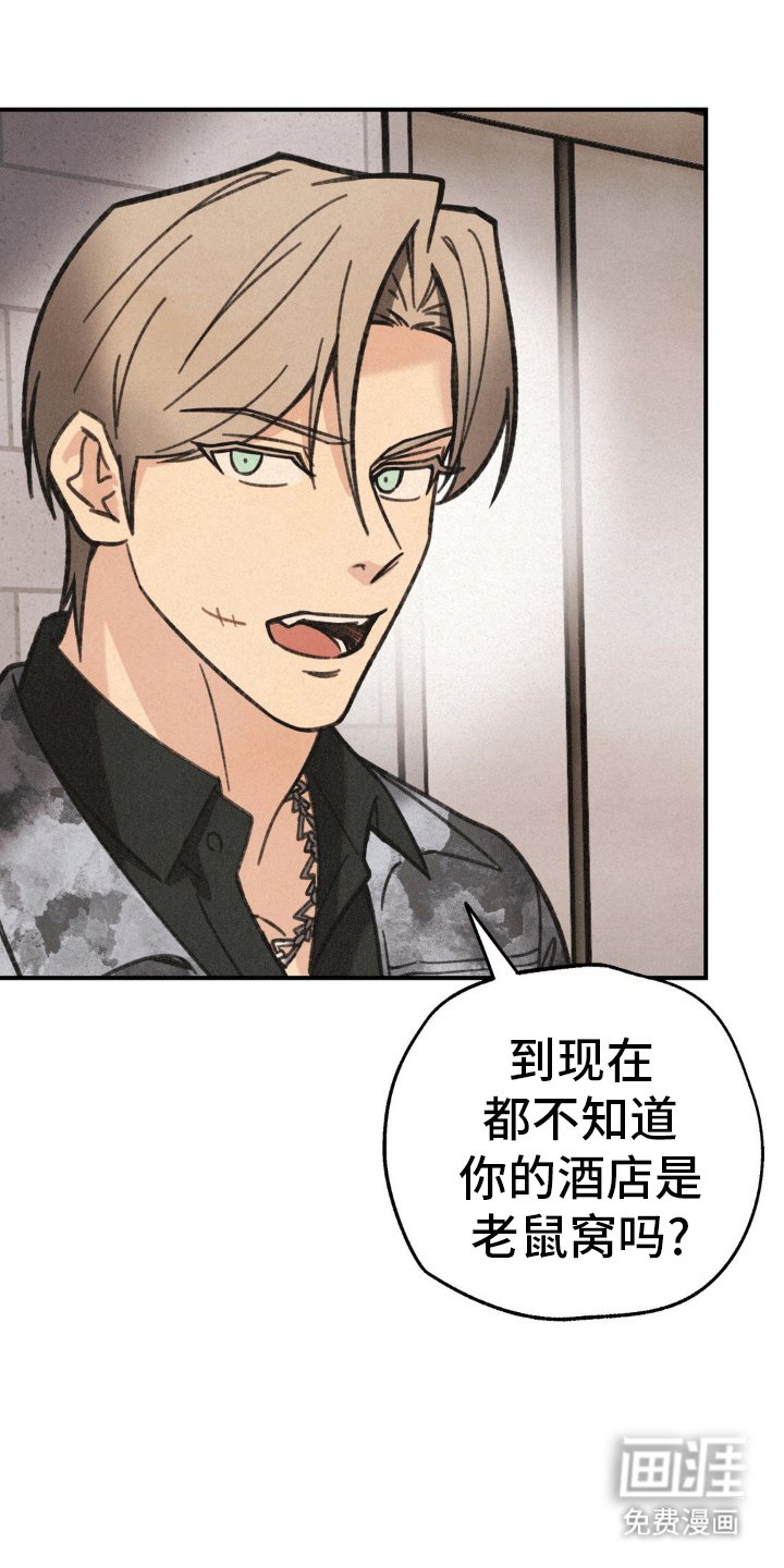 第6章：我的糖果在哪