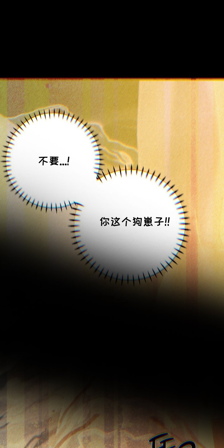 第66章：幻觉