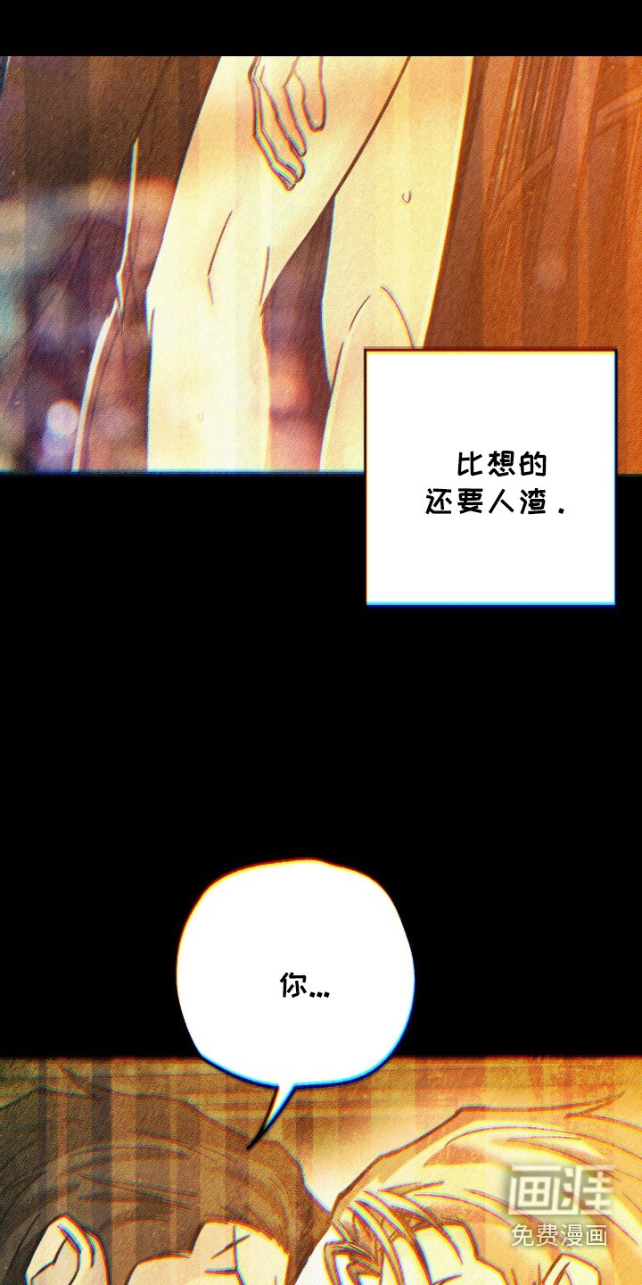 第66章：幻觉