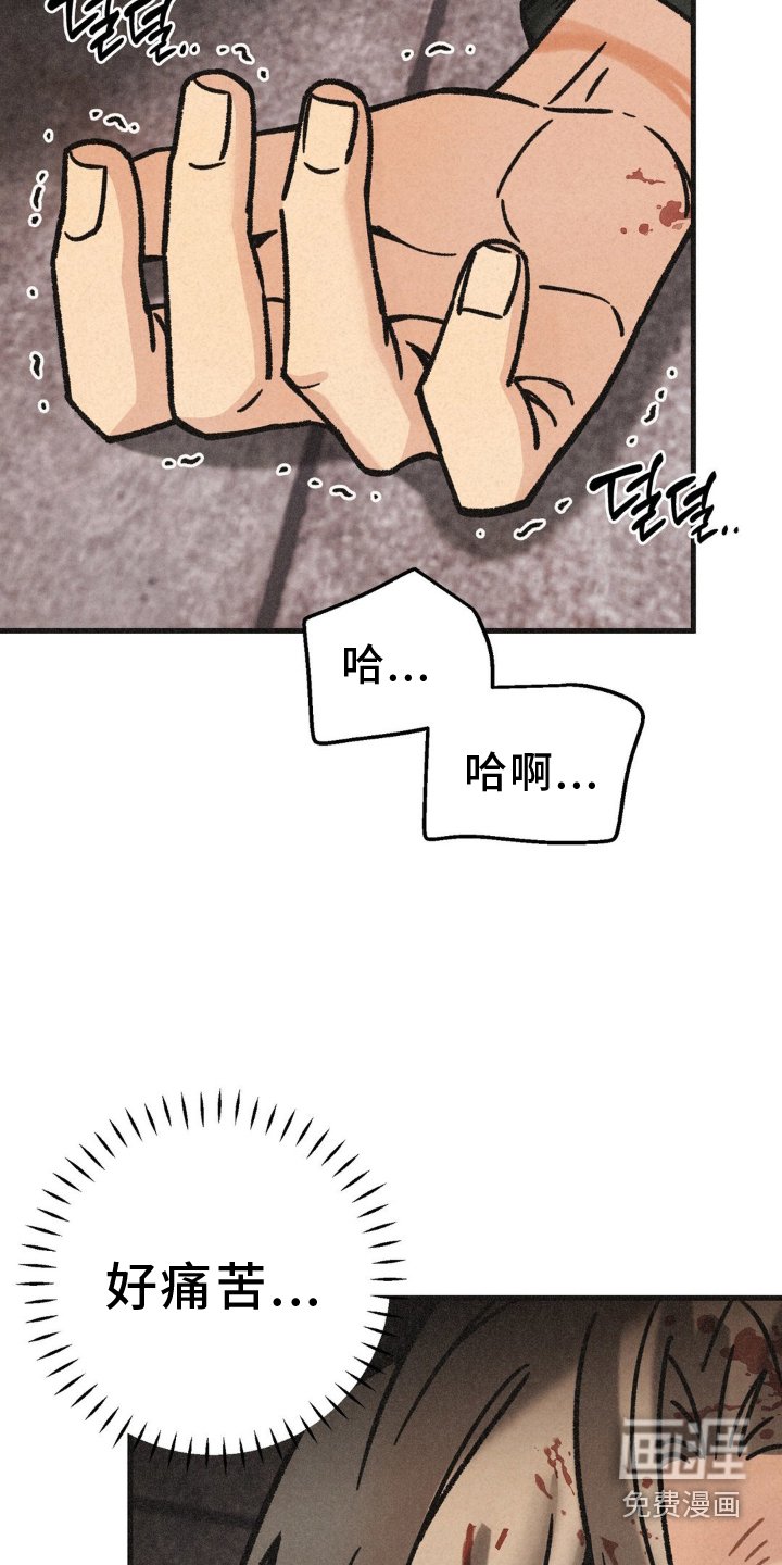 第67章： 活力
