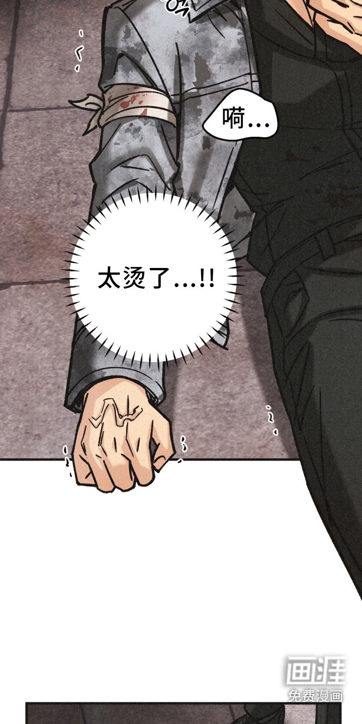 第67章： 活力