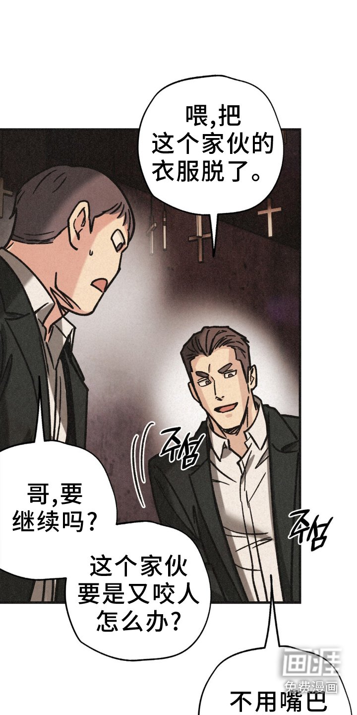 第67章： 活力