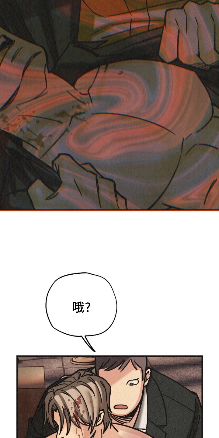 第67章： 活力