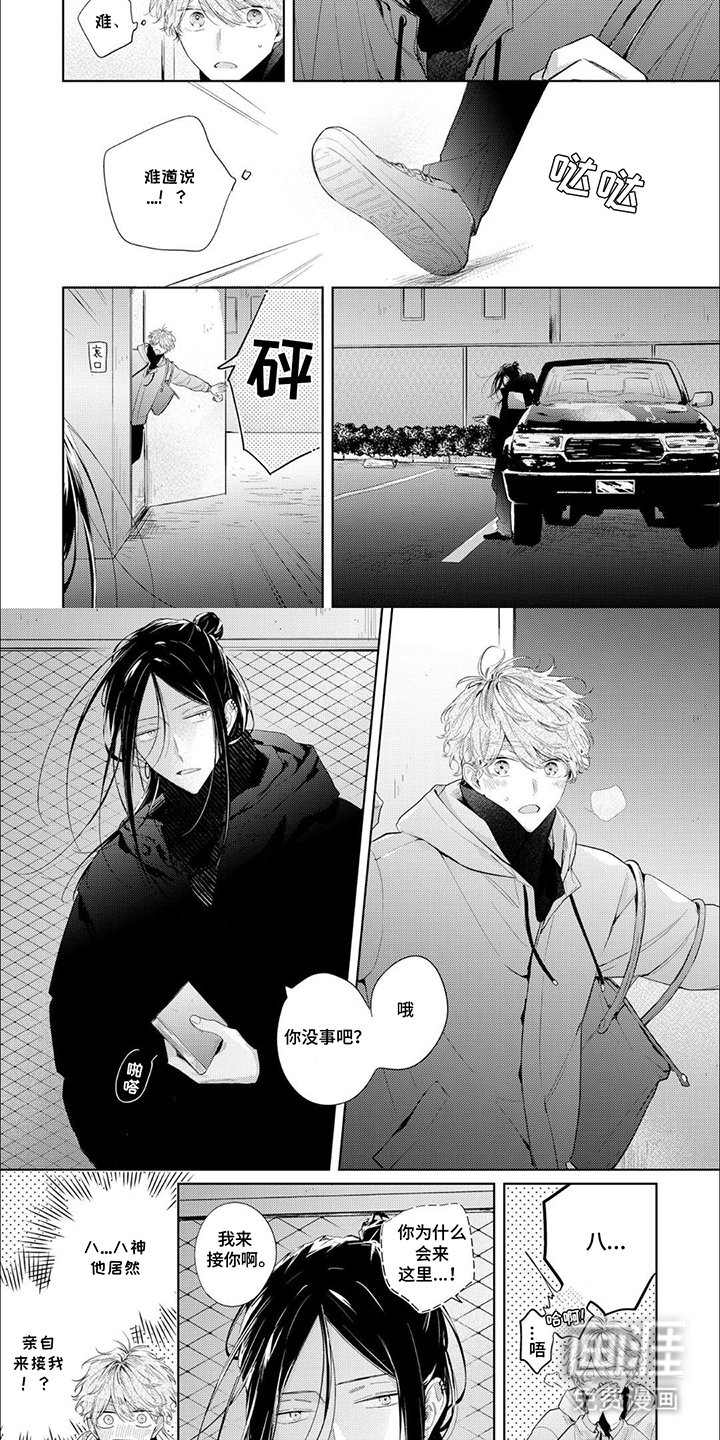 第8章：单独聊聊