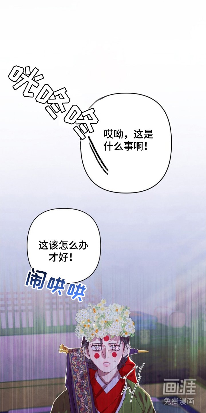 第2章：寡妇