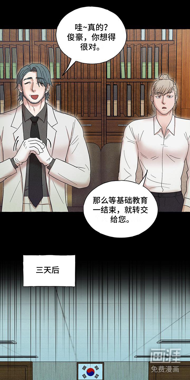 第11章：理想型