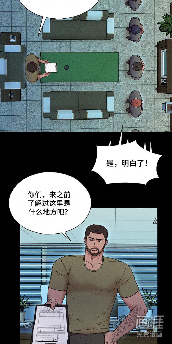 第11章：理想型