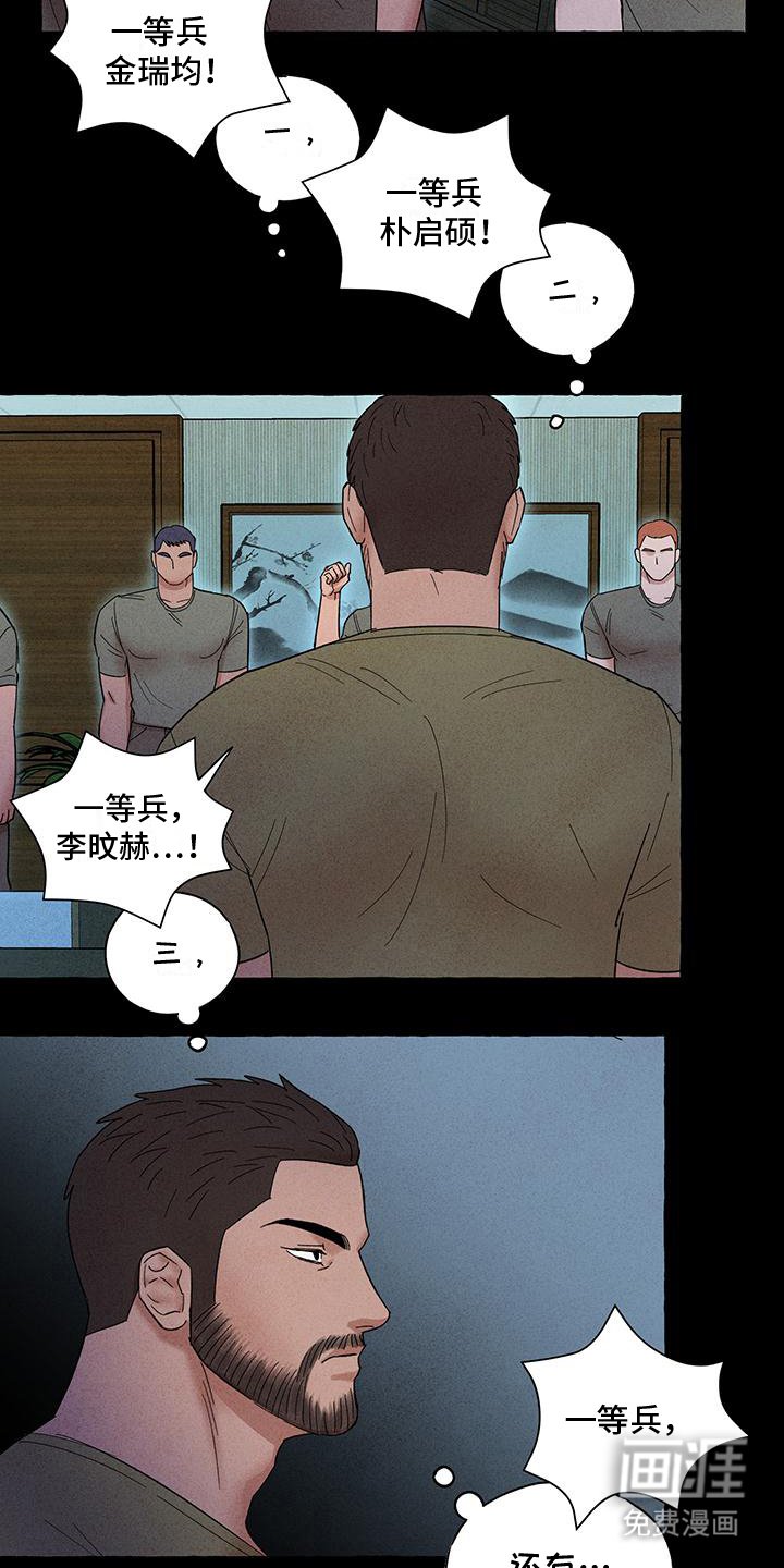 第11章：理想型