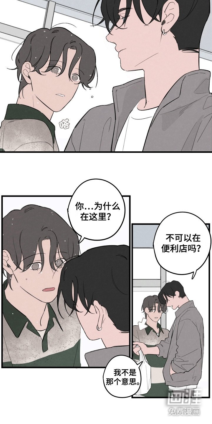 第11章：可不可以收留