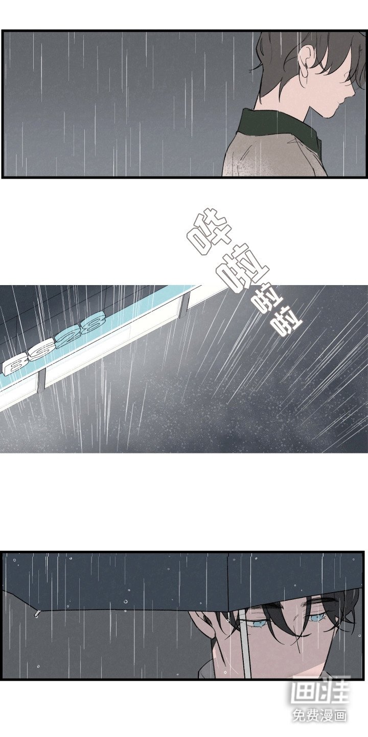 第11章：可不可以收留