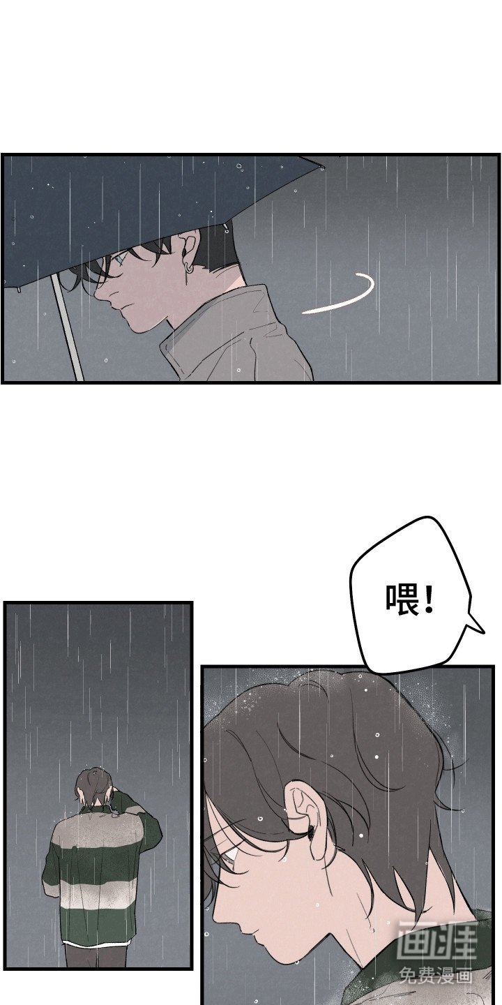 第11章：可不可以收留