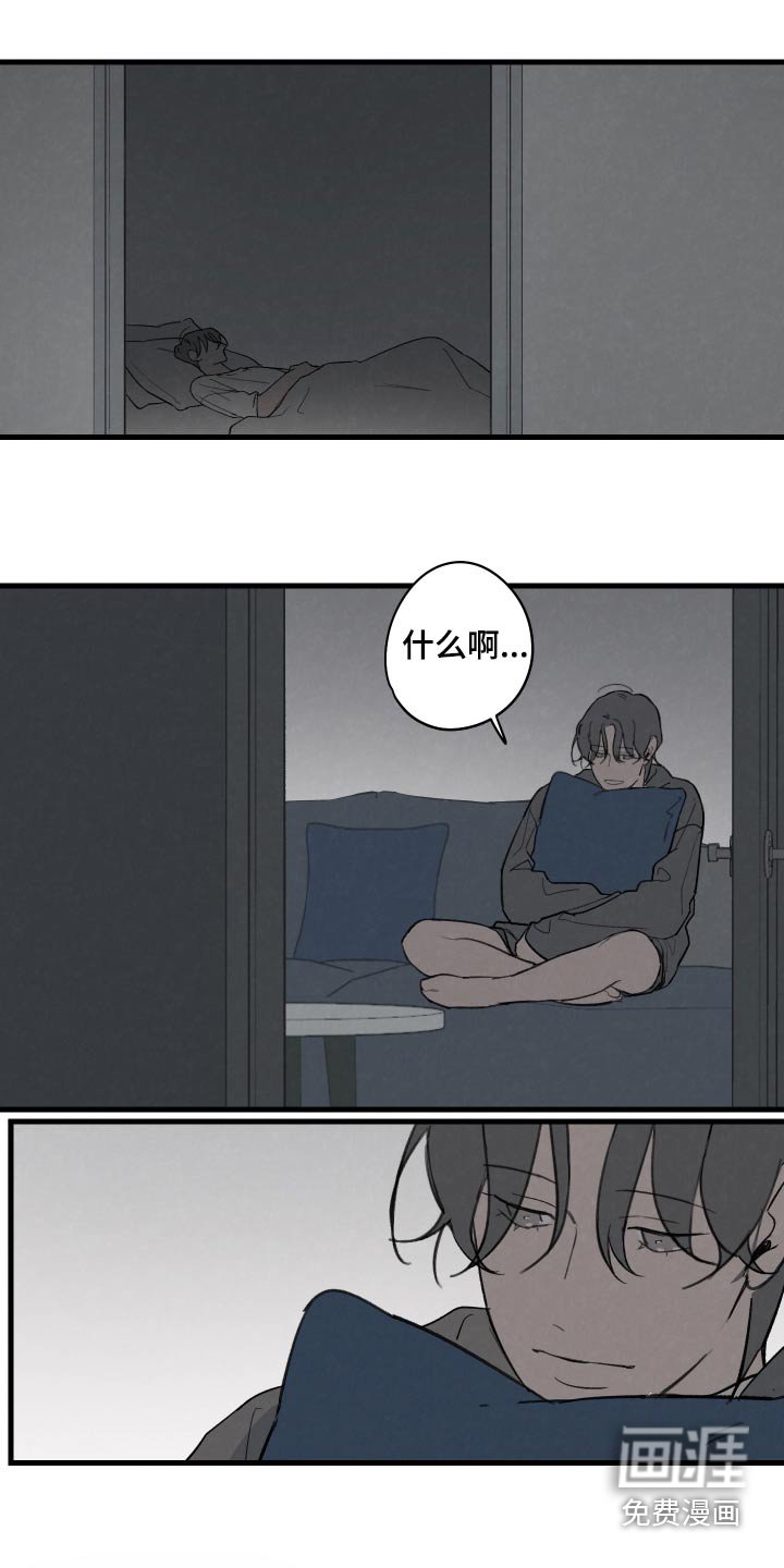 第13章：我的梦想