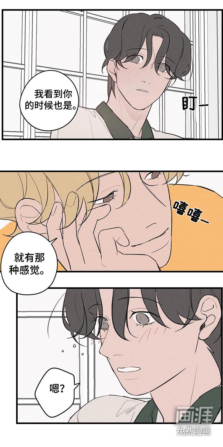 第15章：下酒菜