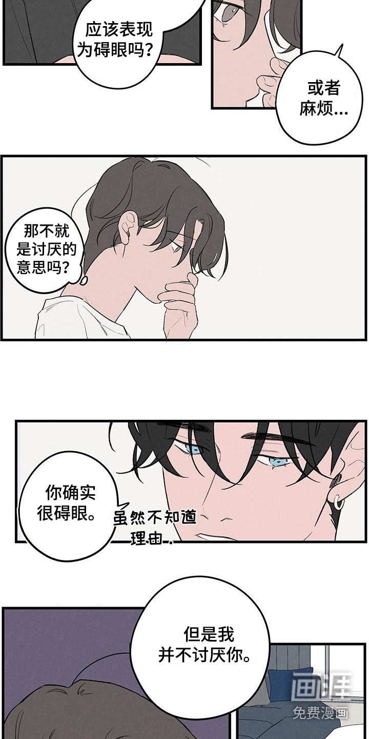 第17章：不讨厌
