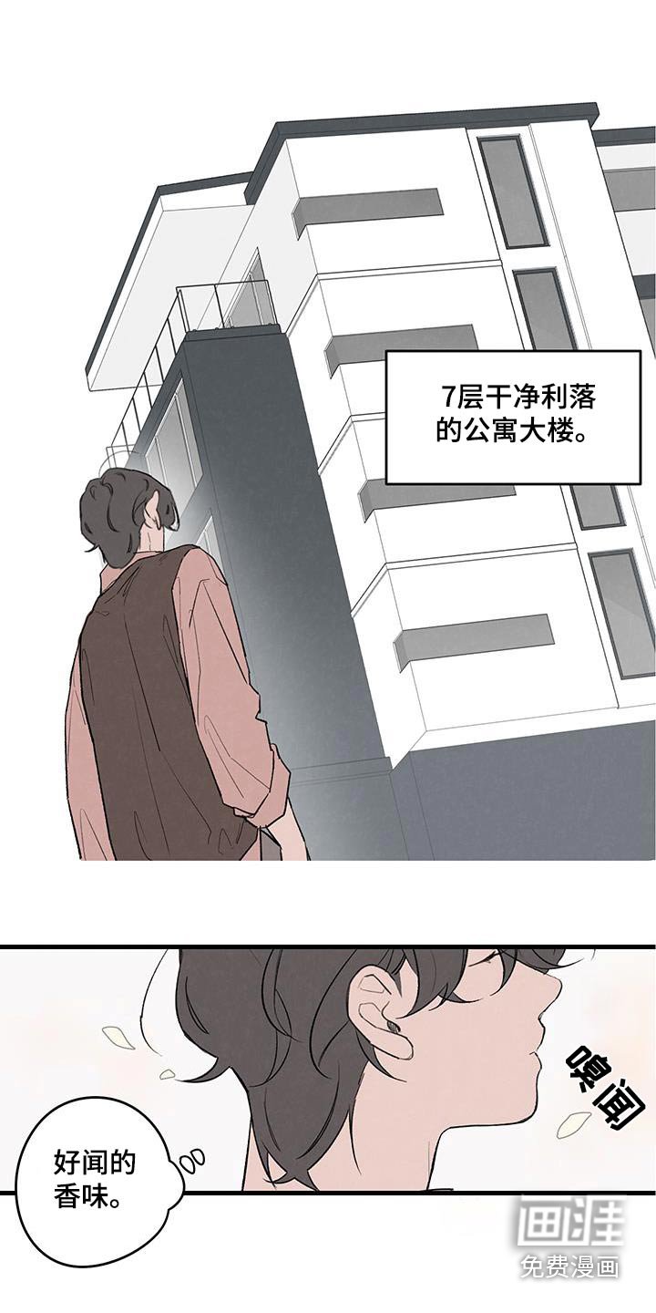 第18章：朋友