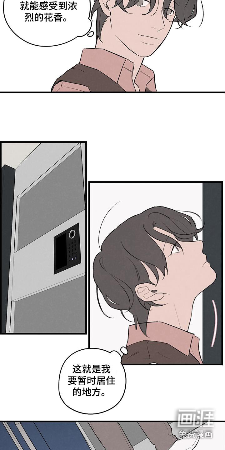 第18章：朋友