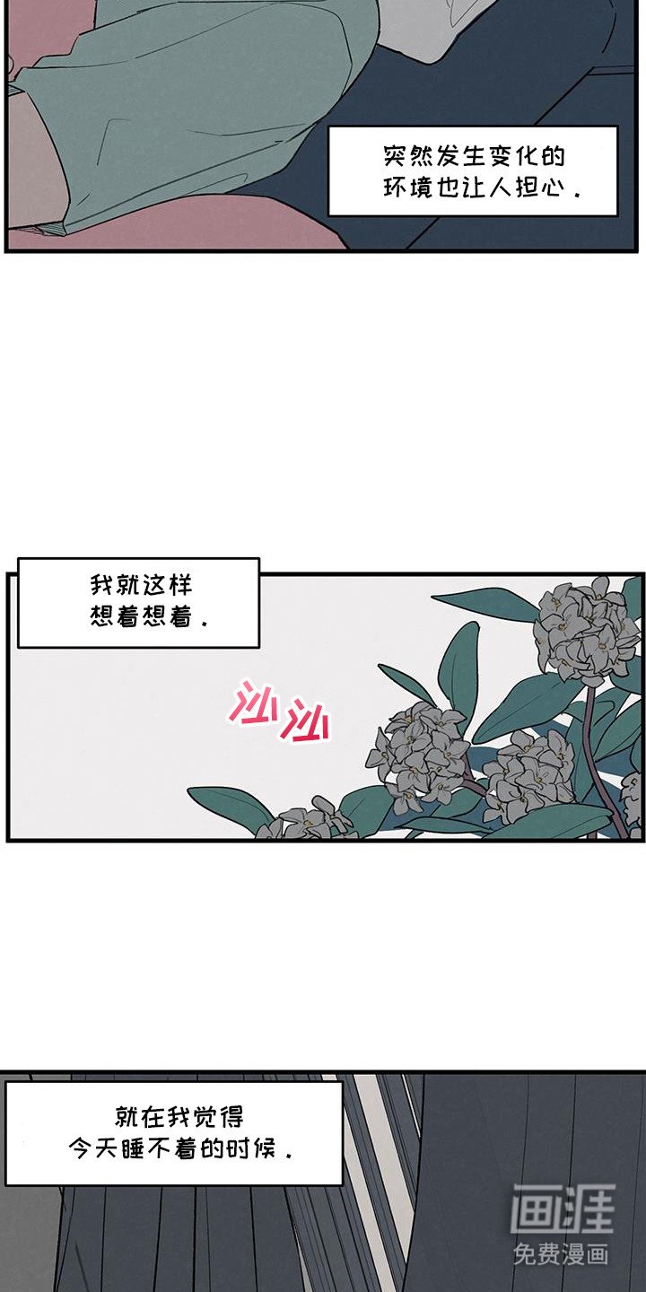 第19章：亲密的关系