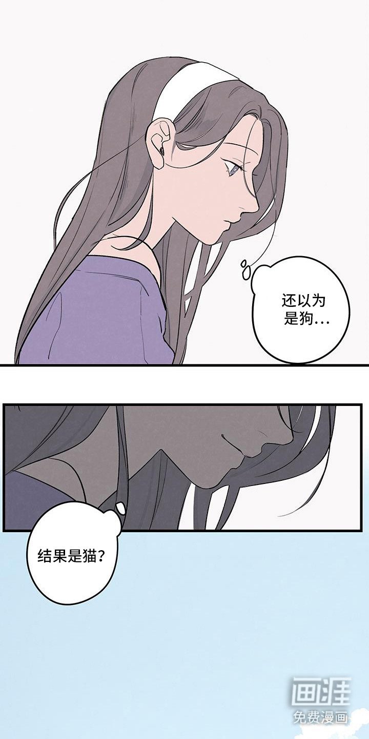 第19章：亲密的关系